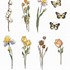 Image result for Realistic Flower Stickers