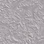 Image result for Daba Plaster Texture