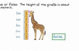 Image result for 15 Meters in Height