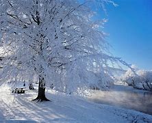 Image result for nieve