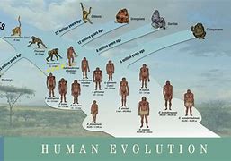 Image result for Timeline of Mankind