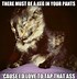 Image result for Panic Cat Meme