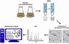 Image result for Protein Purification Using iMac Principle
