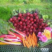 Image result for What Farmers Market