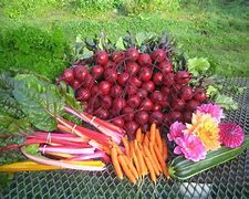 Image result for Farmers Market Definition