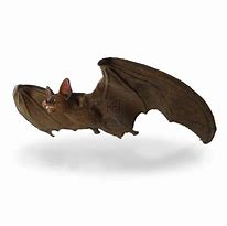 Image result for Rubber Bat Toy Halloween