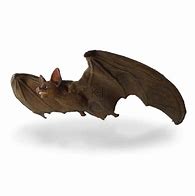 Image result for Rubber Bat Halloween Toy