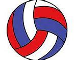 Image result for Volleyball