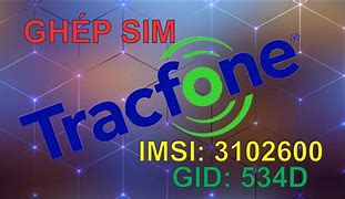 Image result for TracFone IMSI GID iPhone 5S