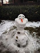 Image result for Olaf Snowman Real Life