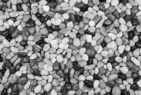 Image result for Pebbles White with Black