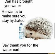 Image result for Carl Hedgehog Meme