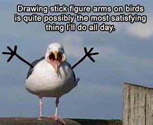 Image result for Hilrious Bird Memes