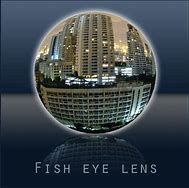 Image result for Fish through Fish Eye Lens