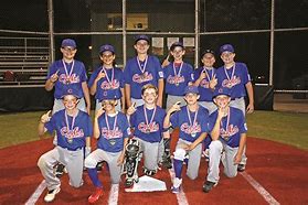 Image result for Cubs Little League
