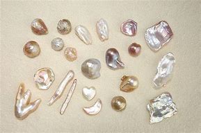 Image result for Natural Freshwater Pearls