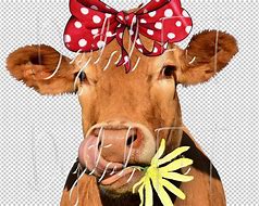 Image result for Funny Cow Face Pics