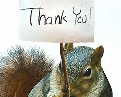 Image result for Thank You Squirrel Meme