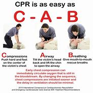 Image result for Simple Heart Circulation during CPR Picture