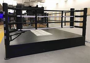 Image result for Mini Boxing Ring