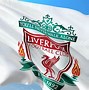Image result for Liverpool FC Football