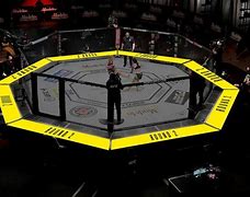Image result for UFC Octagon Aerial View