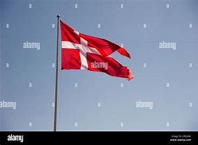 Image result for Denmark Flag-Waving