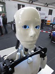 Image result for InMoov Robot