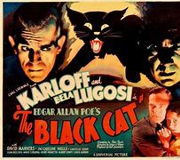 Image result for Black Cat Horror Movie