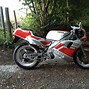 Image result for yamaha tzr 250
