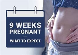 Image result for 9 Weeks Pregnant Belly Second Pregnancy