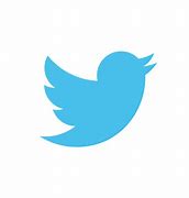 Image result for Twitter Icon 16X16