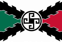 Image result for Nazbol Mexico Flag