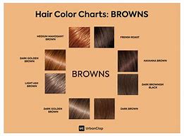 Image result for Skin Tone Hair Color