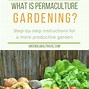 Image result for BackYard Permaculture
