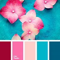 Image result for Cyan Red Color