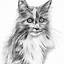 Image result for Cats Pencil Drawings Small