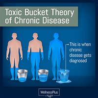 Image result for Toxic Bucket Theory