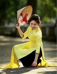 Image result for dai_viet