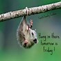 Image result for Almost Friday Funny Quotes