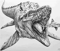 Image result for Dino Drawing Sketch