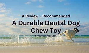 Image result for Dental Dog Toys