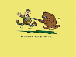 Image result for 2nd Amendment Cartoon Bear Arms