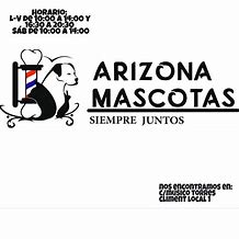 Image result for The Thing in Arizona