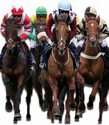 Image result for Horse Racing Transparent Photo Jockeys