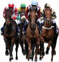 Image result for Horse Racing HD Images