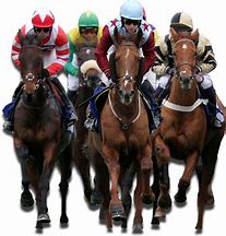 Image result for Horse Racing Free Transparent