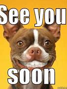 Image result for See You Later Funny Animal Memes