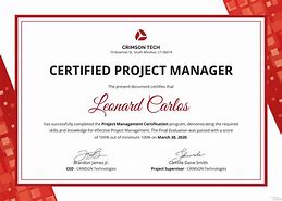 Image result for Program Management Professional Certification