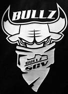 Image result for Bullz Logo